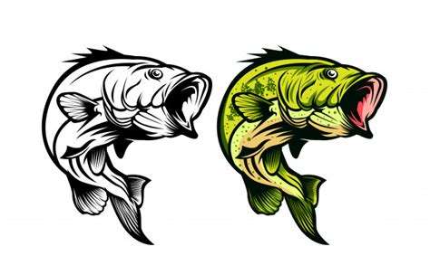 bass fish vector art|Bass Fishing Vector Art, Icons, and Graphics for Free Download.